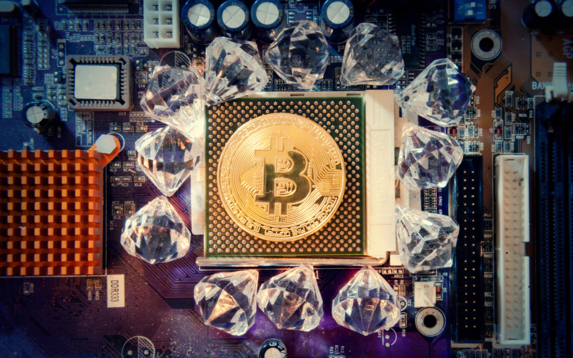 Saifedean Ammous Bitcoin Economist Bitcoin Will Conquer - 