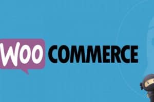 woocommerce