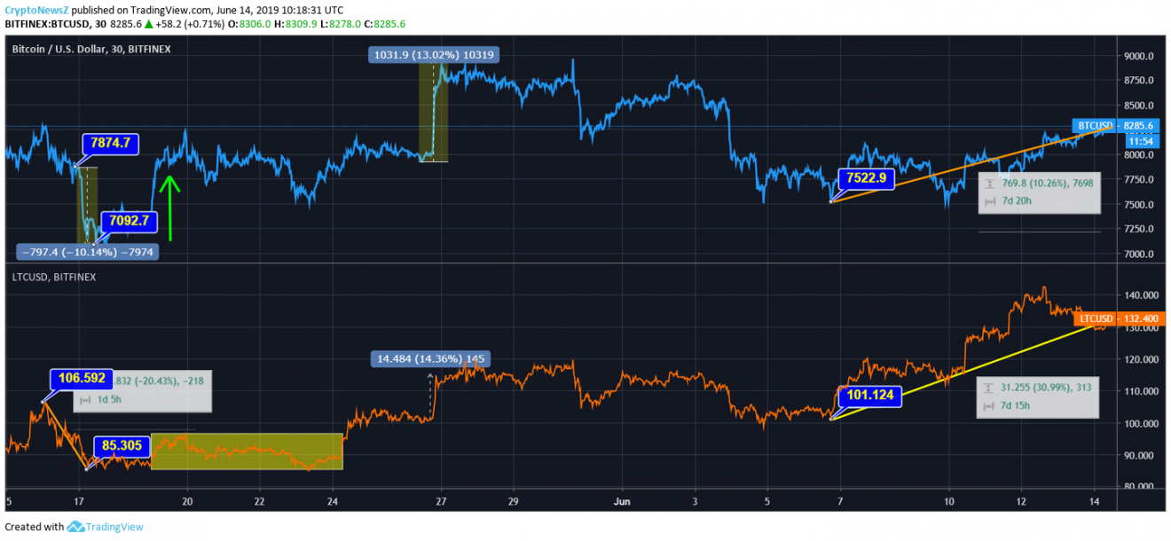 Bitcoin Vs Litecoin Bitcoins Crosses 8200 Litecoin Reaches - 