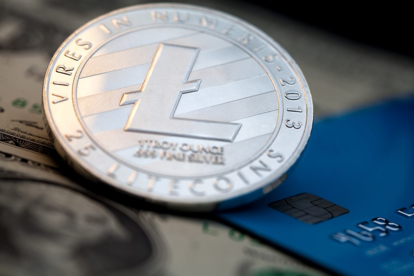 Litecoin Google Searches Hits 12-Month High