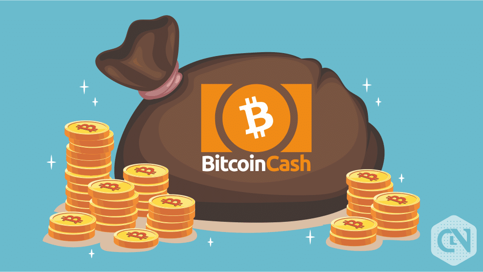 Bitcoin Cash Price Dropped By 6 08 In Last 24 Hours - 