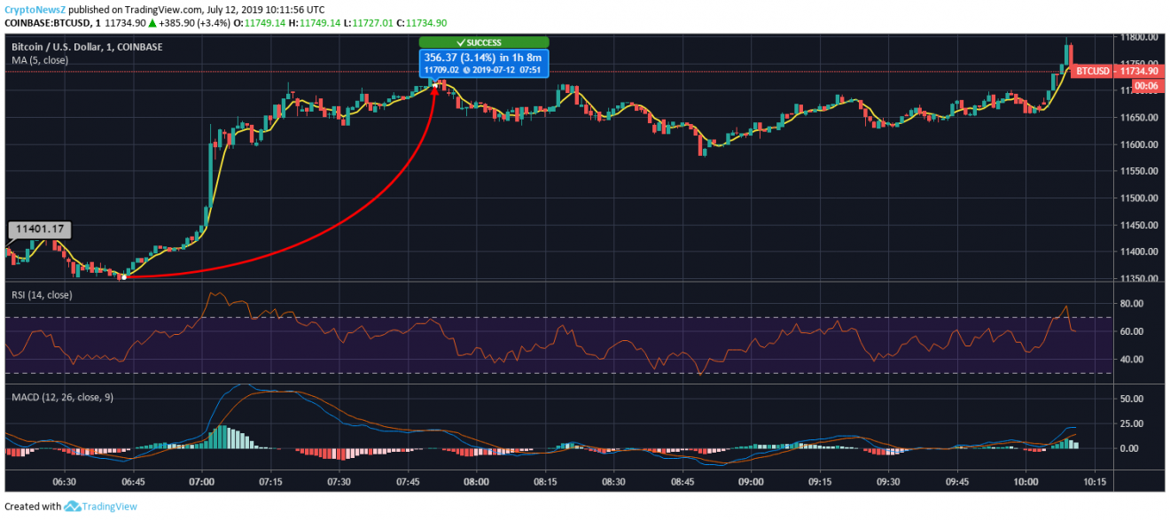 Bitcoin Price Analysis: BTC Holds Above Support, Consolidates Near $11k