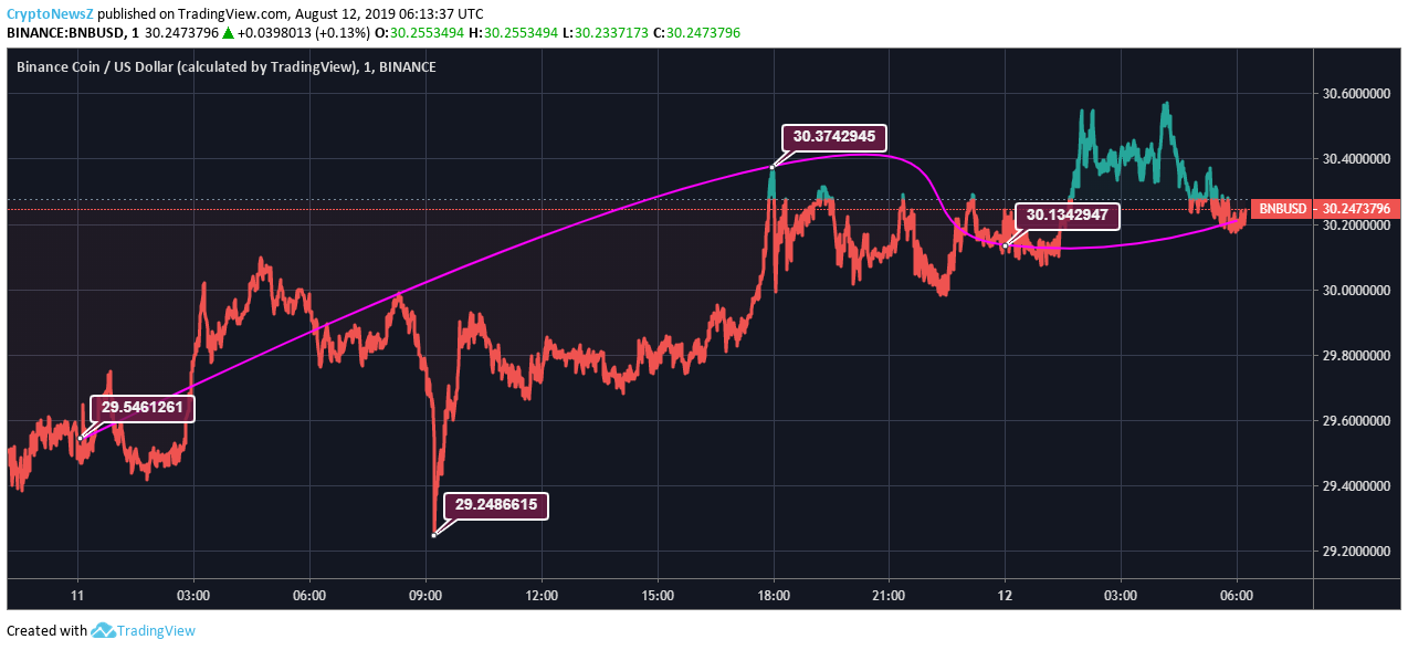 Binance Coin Price Analysis: Binance Coin (BNB) Records 3% Uptrend Since Yesterday Rising Up To $30 BNB Price Prediction