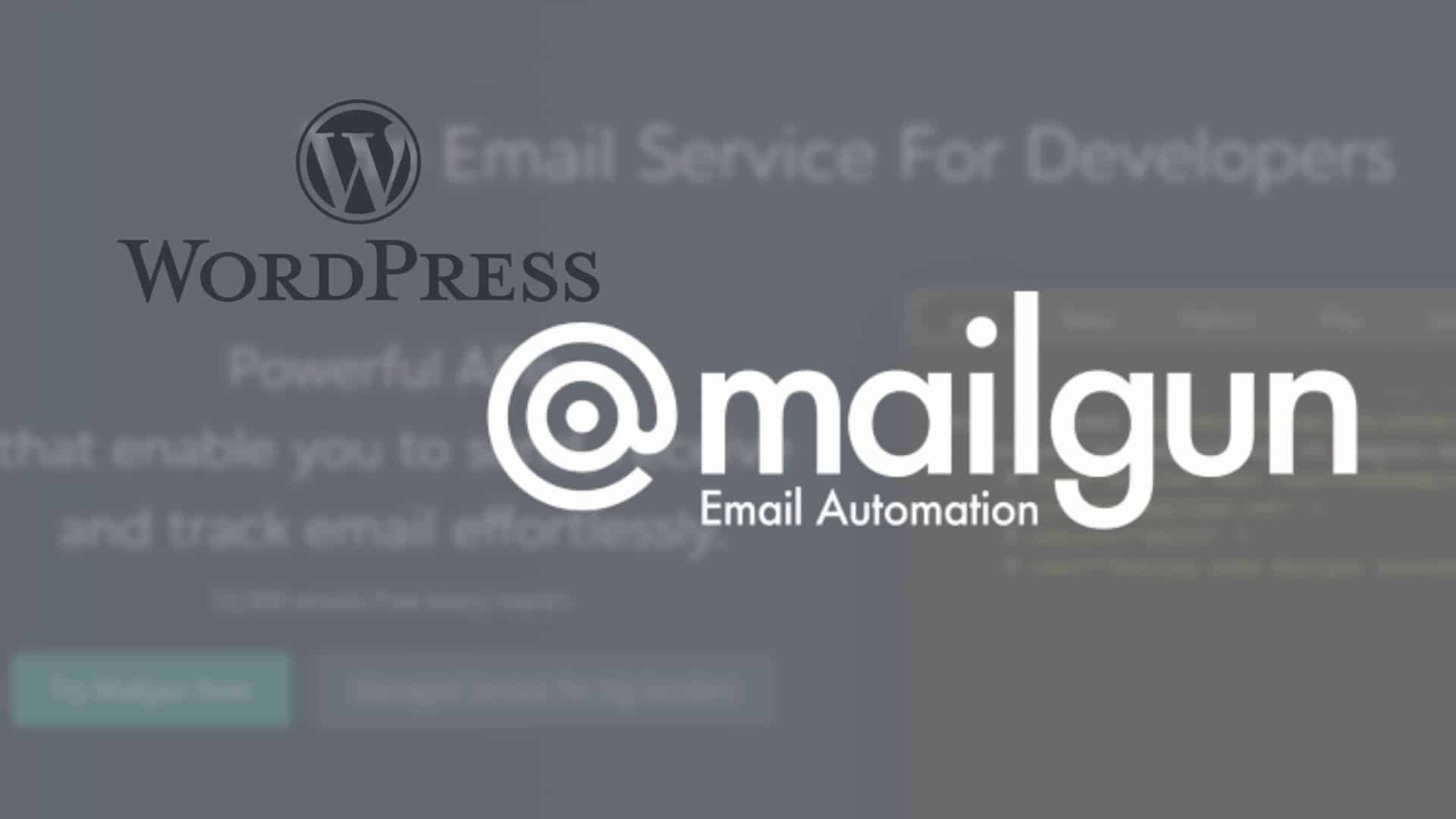 plug websites