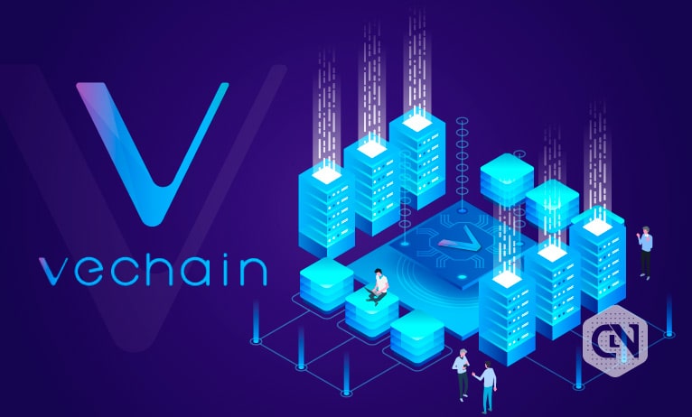 VeChain Firm and Its Functionalities