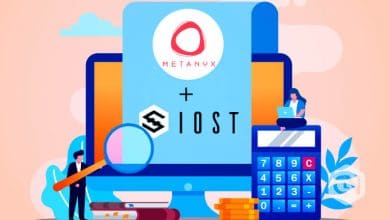 Metanyx Will Place Consortium Chains Using IOST