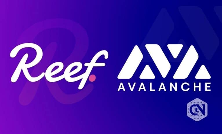 Reef Finance Collaborates with Avalanche