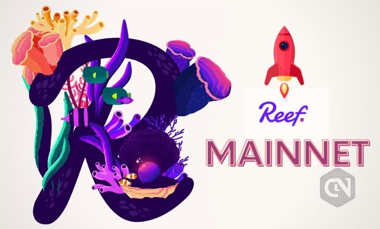Reef to Launch its First Blockchain Built on DApps Reef to Launch its First Blockchain Built on DApps