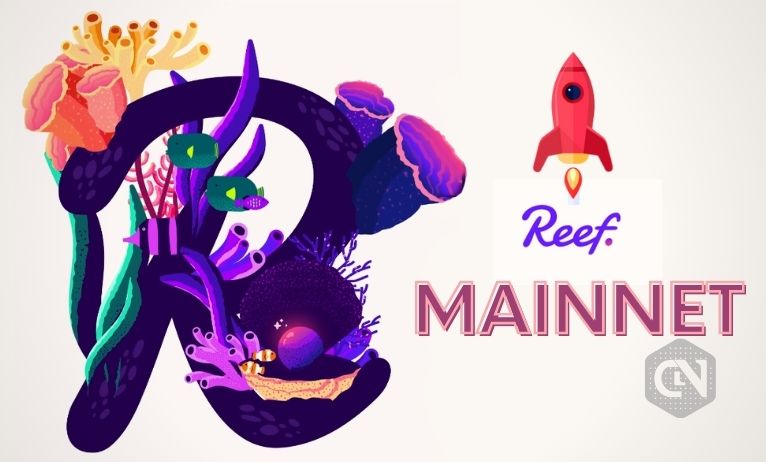 Reef to Launch its First Blockchain Built on DApps