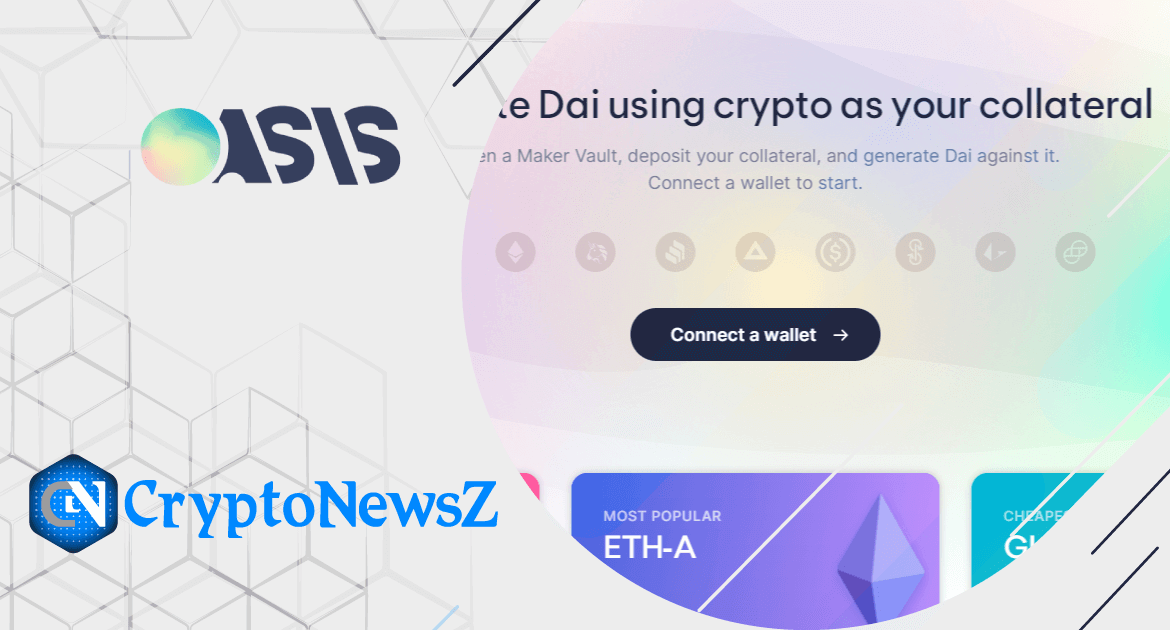 Oasis Borrow Review