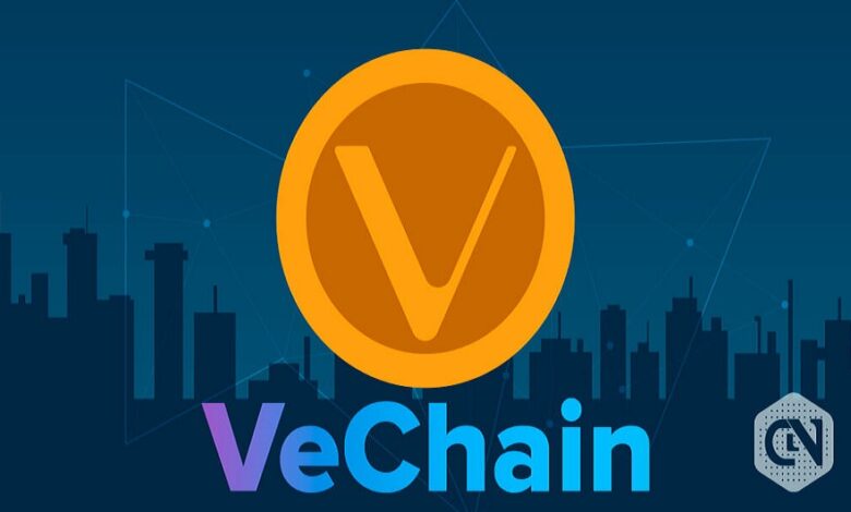 VeChain Undervalued! Is There Scope for Some More Corrections? VeChain Undervalued! Is There Scope for Some More Corrections?