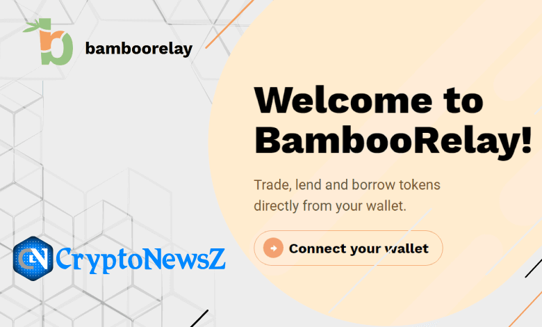 Bamboo Relay Review 2022 Bamboo Relay Review - CryptoNewsZ