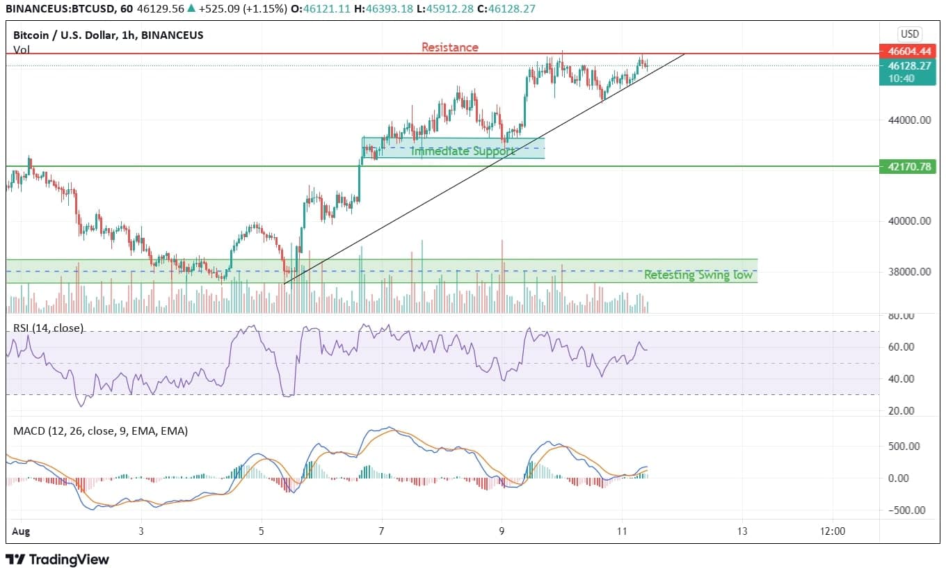 Can Bitcoin Realize the Target of $100,000 Any Time Soon? Bitcoin Price Analysis Chart