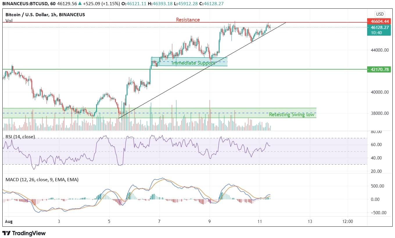 Bitcoin Price Analysis Chart