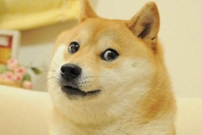 Is It Time To Start Taking Meme Cryptocurrencies Seriously? Is It Time To Start Taking Meme Cryptocurrencies Seriously?