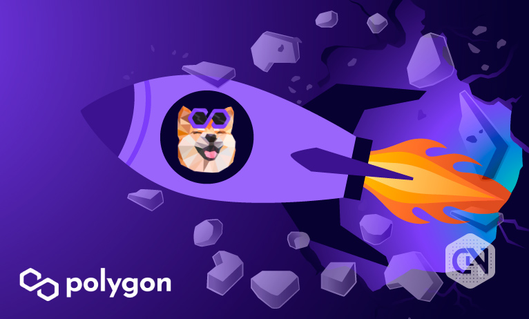 Polygon Adopts NFT-Established PolyBabyDoge for Meme Grants Polygon Adopts NFT-Established PolyBabyDoge for Meme Grants