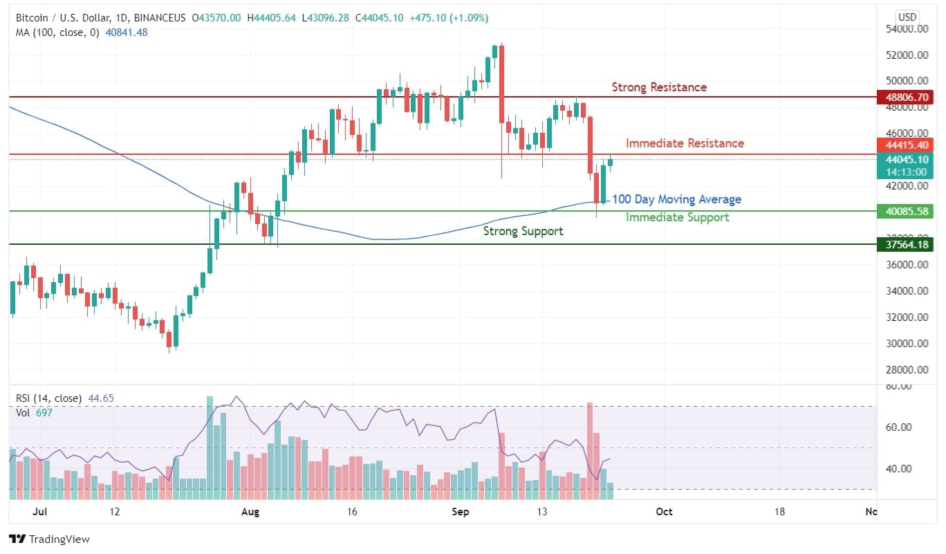 Bitcoin Takes Support From the Moving Average of 100 Days Bitcoin Price Analysis