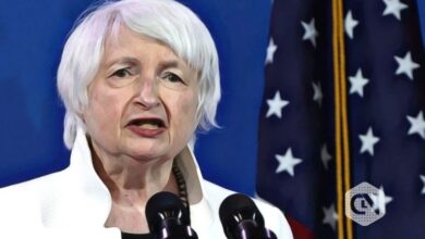 Yellen Pushes the Irish Finance Minister to Accept Crucial Tax Deal