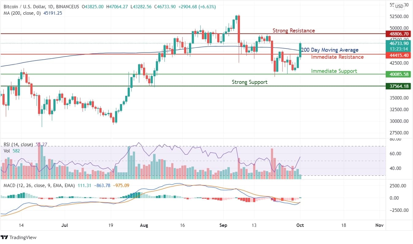 Bitcoin Price Analysis Chart
