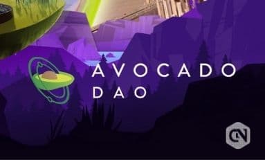 Avocado Guild Finishes Its $18 Million Series A