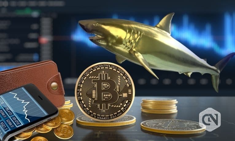 Despite Increasing Adoption, 10,000 Whale Wallets Hold 27% of the Bitcoin Supply Despite Increasing Adoption, 10,000 Whale Wallets Hold 27% of the Bitcoin Supply