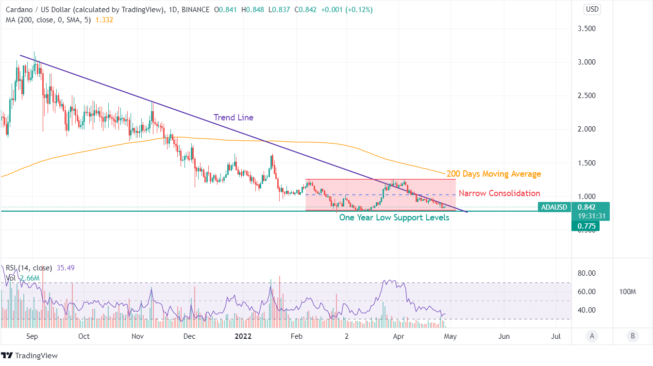 Cardano Analysis