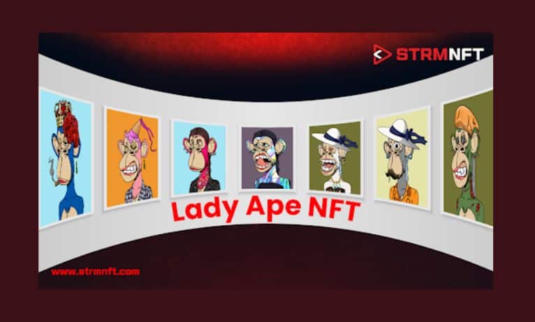 Lady Ape NFT Pre-booking Extend to July 16 on STRMNFT