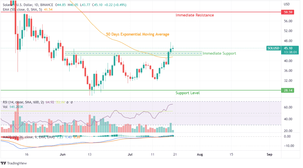 SOL Price Chart