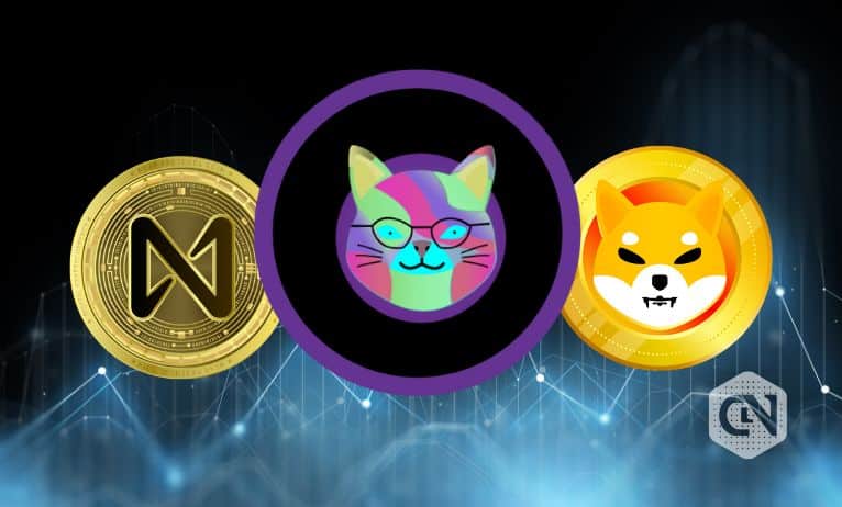 Kittynomica Overtakes Shiba Inu and Near Protocol in Popularity