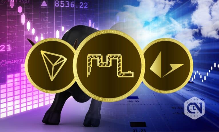 For The Next Bull Market Moshnake, TRON And Loopring Could Provide You With the Best Chance!