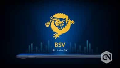 Will Bitcoin SV (BSV) Cross the $50 mark in December?