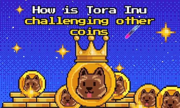 How is Tora Inu challenging other coins? How is Tora Inu challenging other coins