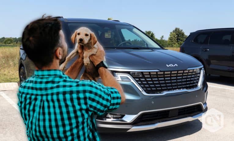 Kia America NFT raises $100k for pet adoption charity