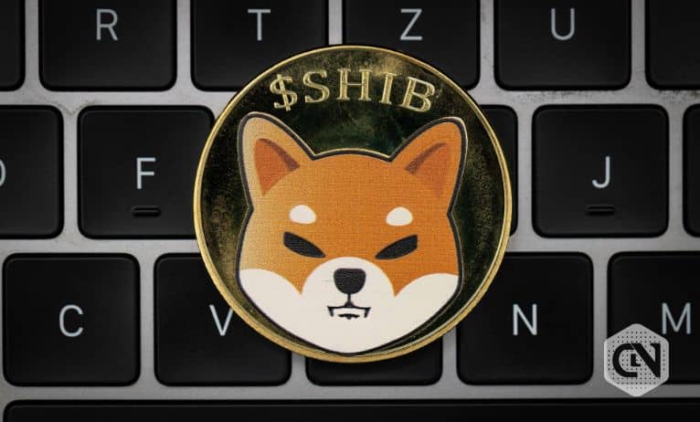 Will Shiba Inu (SHIB) continue to lose its value in 2023? Will Shiba Inu (SHIB) continue to lose its value in 2023