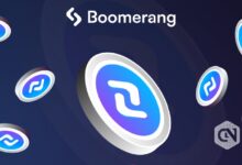 Boomerang introduces BMR|SPIS