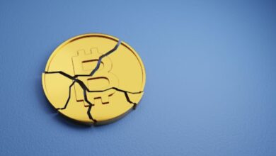 What's left for Bitcoin? Can Avorak integrate AI in the same way as Ordinals?
