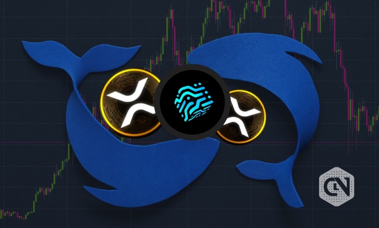 Report: More crypto whales rapidly accumulating XRP & QUBE - Here's why! Crypto whales are rapidly accumulating QUBE & XRP