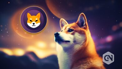 Shiba Inu (SHIB) in 2023 Analyzing Its Future Potential