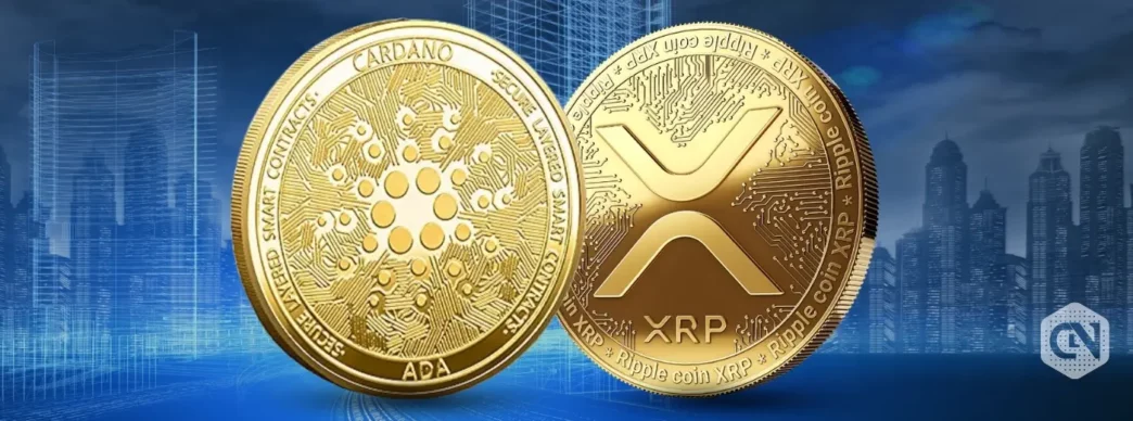 Cardano and Ripple investors flock to RCOF
