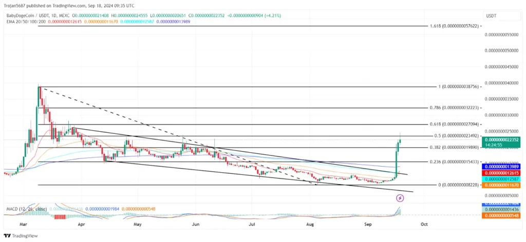 Baby Doge Price Performance