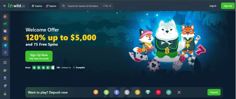 Wild.io Casino