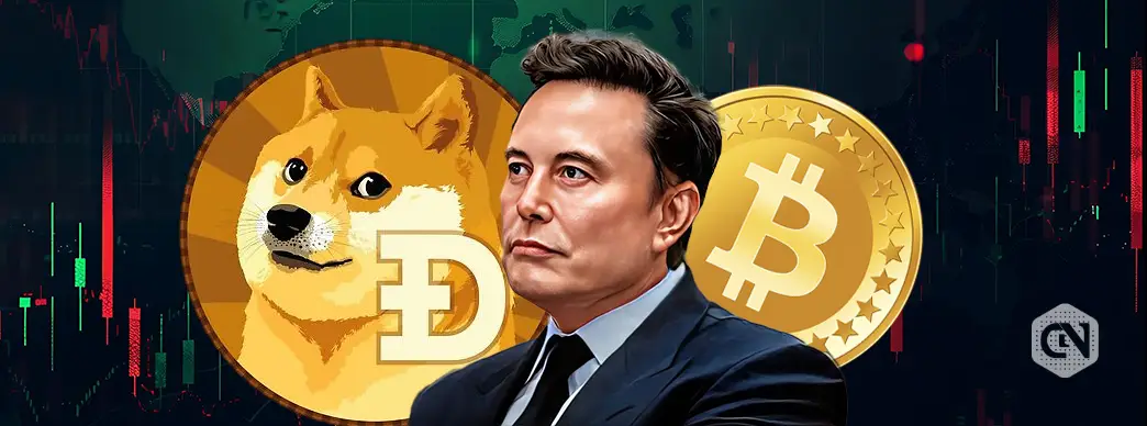 Elon Musk Owns Dogecoin