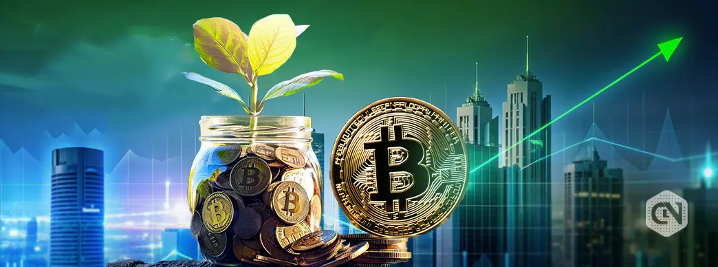 Key Tips for Presale Investments- Navigating Crypto Jungle