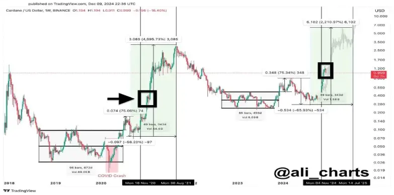 cardano analysis