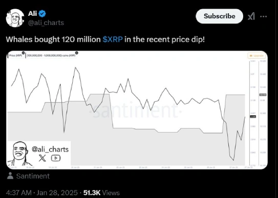 Ali Martinez reporting 120 million XRP whale activity