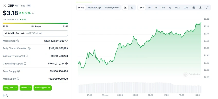 XRP 24 Hours Chart
