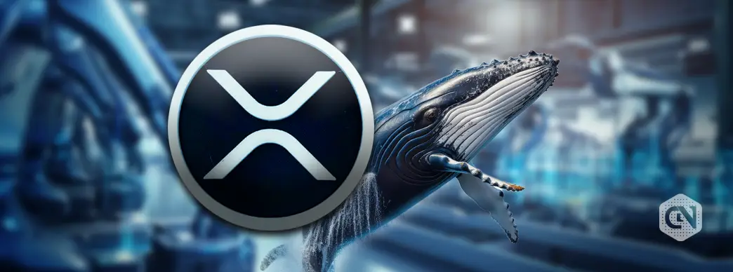 XRP crosses $3 mark amid whale activity and industry optimism