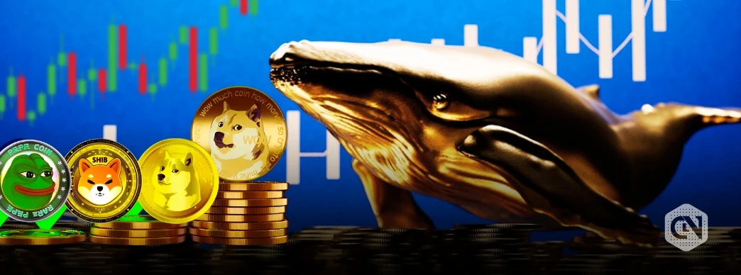 Whales Bet on 2 Memecoins – Is a Major Rally Ahead?