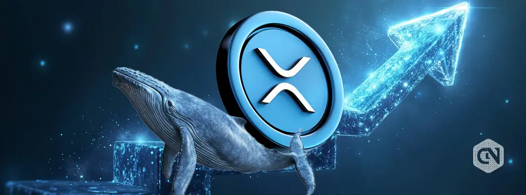 XRP Price Eyes a Rebound at $2.41: Is $3.70 Visible on Bullish Radars?
