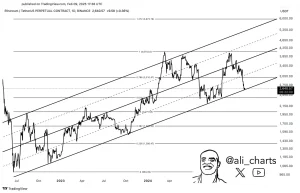 Ali Martinez highlights charts